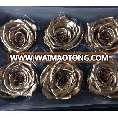 Wholesales everlasting gold roses 5-6cm head import from kunming