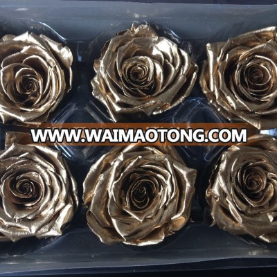 Import preserved rose of 5-6cm gold color rose head from Kunming China