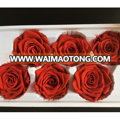 Wholesales everlasting rose with high quality for Valentine's day