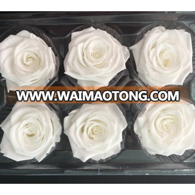 Supply preserved rose of White color direct from factoey for valentine's day