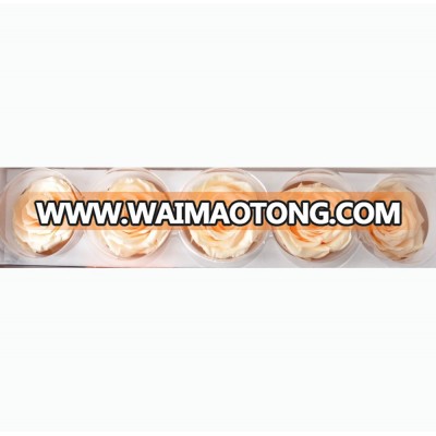 Wholesale long lasting rose of 6-7cm head champagne color with high quality